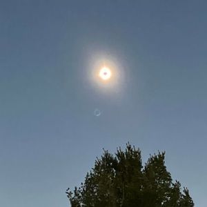 Meet your Posher, Darci